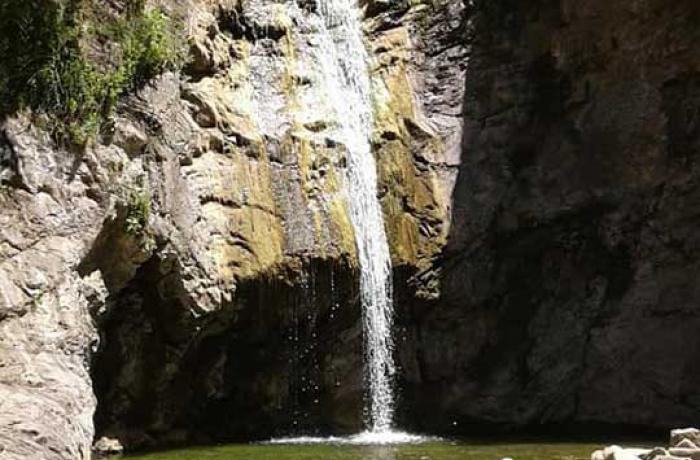Bosco di Mangalaviti